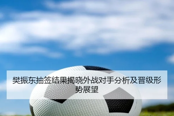樊振东抽签结果揭晓外战对手分析及晋级形势展望